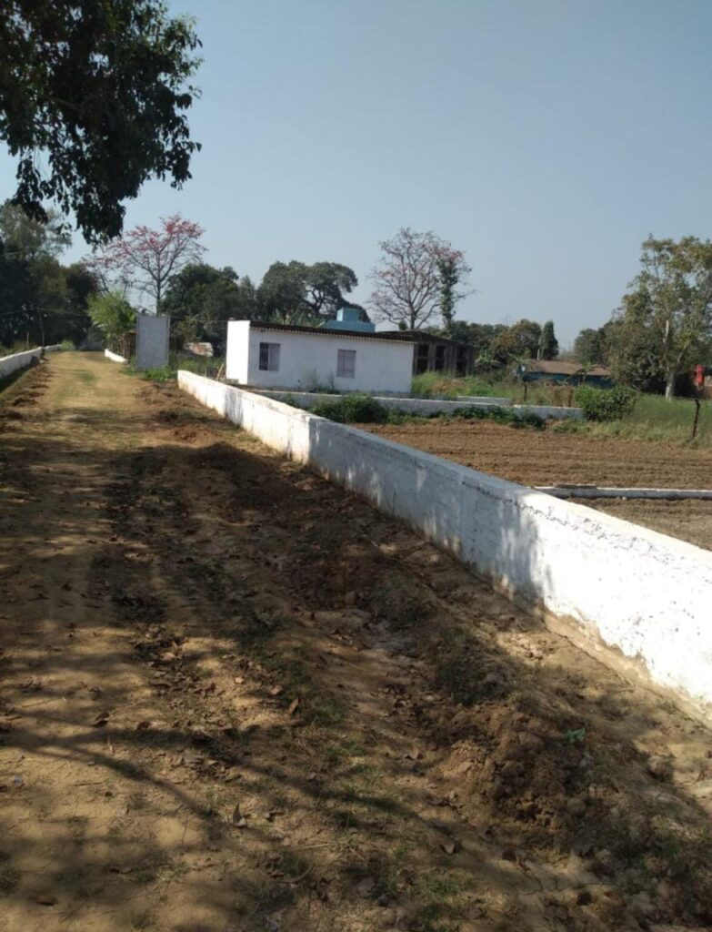 WhatsApp Image 2026-09-01 at 3.55.53 PM (1)